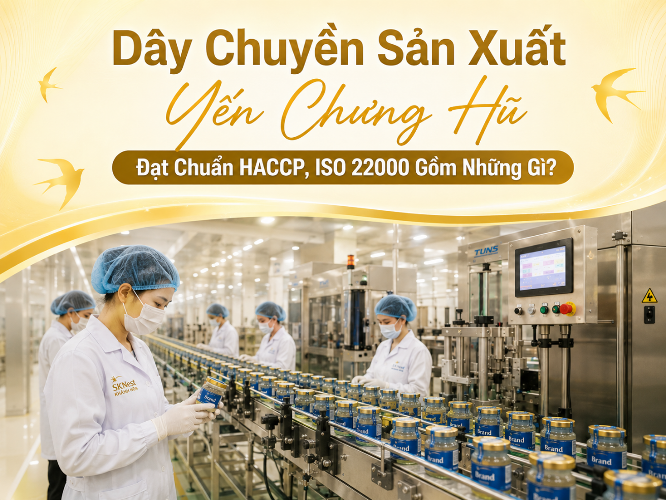 Dây Chuyền Sản Xuất Yến Chưng Hũ Đạt Chuẩn HACCP, ISO 22000 Gồm Những Gì? 
